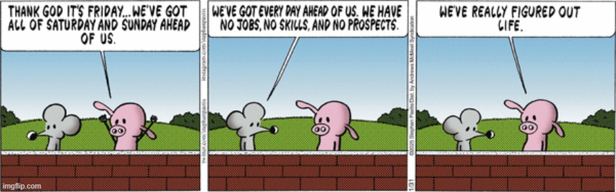 Pearls Before Swine | image tagged in comics | made w/ Imgflip meme maker