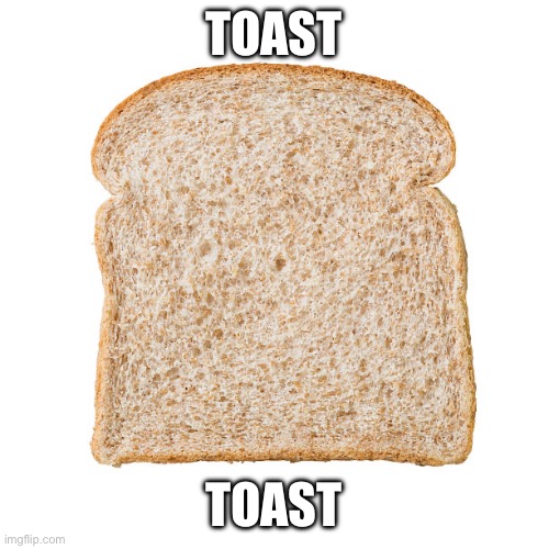 toast | TOAST; TOAST | image tagged in toast | made w/ Imgflip meme maker