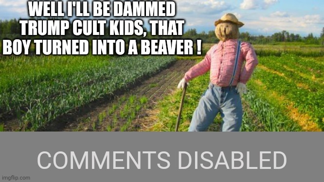 Scarecrow in field | WELL I'LL BE DAMMED TRUMP CULT KIDS, THAT BOY TURNED INTO A BEAVER ! COMMENTS DISABLED | image tagged in scarecrow in field | made w/ Imgflip meme maker