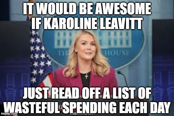 Karoline Leavitt | IT WOULD BE AWESOME IF KAROLINE LEAVITT; JUST READ OFF A LIST OF WASTEFUL SPENDING EACH DAY | image tagged in karoline leavitt | made w/ Imgflip meme maker