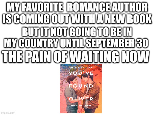 The pain waiting | MY FAVORITE  ROMANCE AUTHOR IS COMING OUT WITH A NEW BOOK; BUT IT NOT GOING TO BE IN MY COUNTRY UNTIL SEPTEMBER 30; THE PAIN OF WAITING NOW | image tagged in waiting,romace,dustinthao,books | made w/ Imgflip meme maker