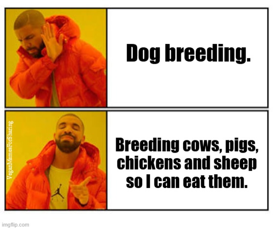 Indeed | image tagged in vegan,veganism,hypocrisy,dog breeder,bacon,hamburger | made w/ Imgflip meme maker