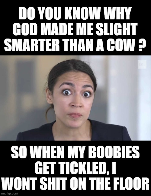 AOC Stumped | DO YOU KNOW WHY GOD MADE ME SLIGHT SMARTER THAN A COW ? SO WHEN MY BOOBIES GET TICKLED, I WONT SHIT ON THE FLOOR | image tagged in aoc stumped | made w/ Imgflip meme maker
