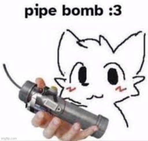 pipe bomb :3 | image tagged in boykisser pipe bomb | made w/ Imgflip meme maker