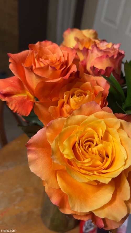 woke up to these on the table | made w/ Imgflip meme maker