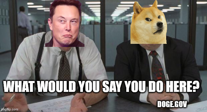 office space what do you do here | WHAT WOULD YOU SAY YOU DO HERE? DOGE.GOV | image tagged in office space what do you do here,doge,dogecoin,musk,trump | made w/ Imgflip meme maker