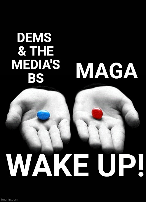 Blue pill vs Red Pill | DEMS 
& THE
MEDIA'S
BS; MAGA; WAKE UP! | made w/ Imgflip meme maker