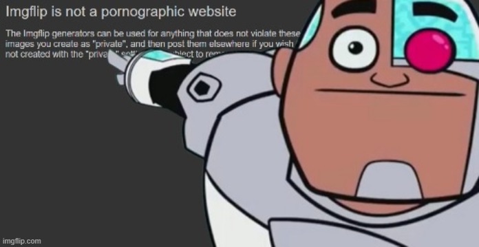 Imgflip is not a pornographic website | image tagged in imgflip is not a pornographic website | made w/ Imgflip meme maker