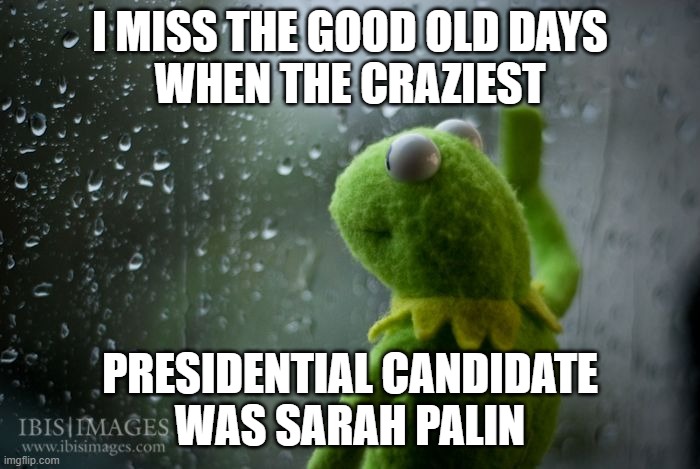 Better days... with Sarah Palin | I MISS THE GOOD OLD DAYS
WHEN THE CRAZIEST; PRESIDENTIAL CANDIDATE
WAS SARAH PALIN | image tagged in kermit window,good old days,trump,sarah palin,crazy,president | made w/ Imgflip meme maker