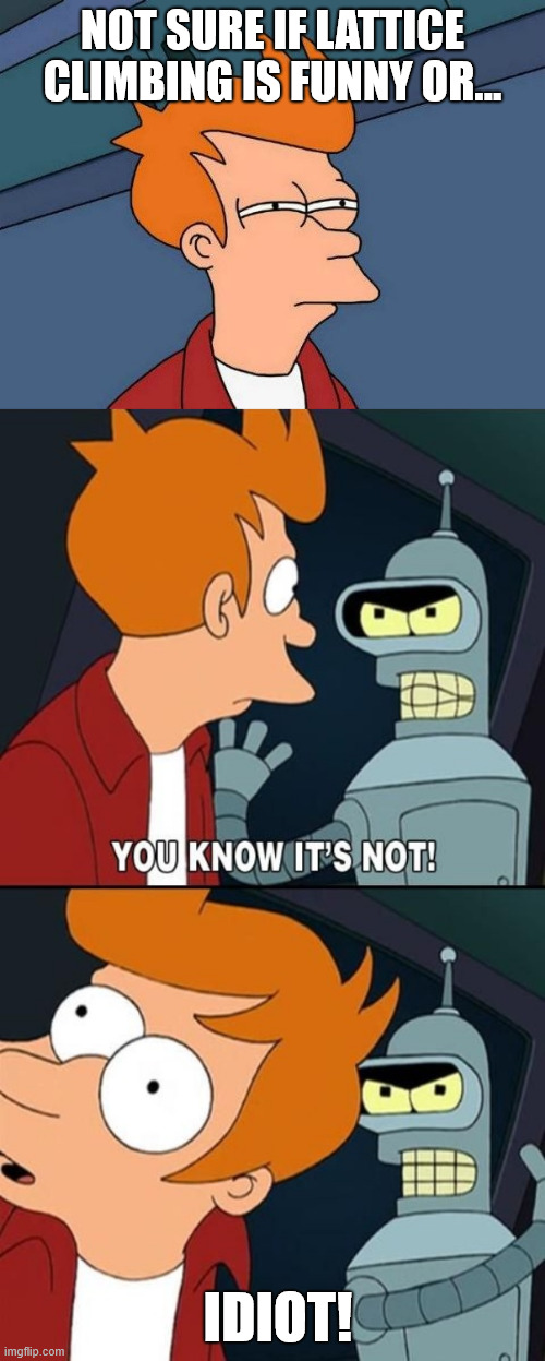 My fear of heights | NOT SURE IF LATTICE CLIMBING IS FUNNY OR... IDIOT! | image tagged in futurama,lattice climbing,meme,fry,bender,climbing meme | made w/ Imgflip meme maker