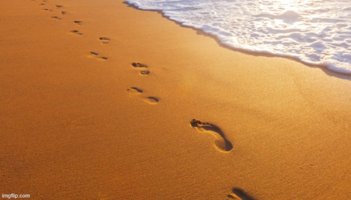 footprints in the sand | image tagged in footprints in the sand | made w/ Imgflip meme maker