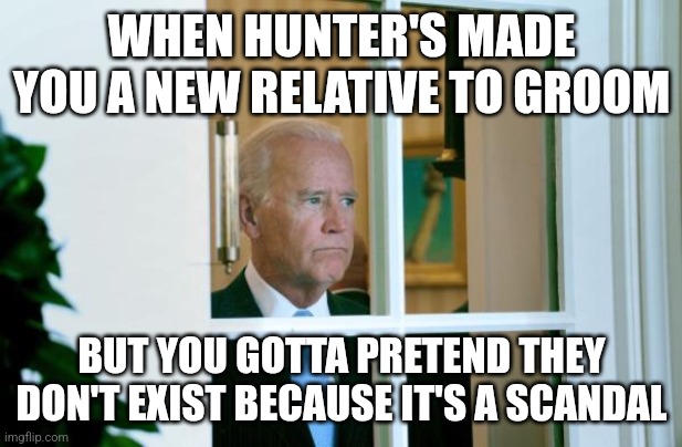 Biden window | WHEN HUNTER'S MADE YOU A NEW RELATIVE TO GROOM BUT YOU GOTTA PRETEND THEY DON'T EXIST BECAUSE IT'S A SCANDAL | image tagged in biden window | made w/ Imgflip meme maker