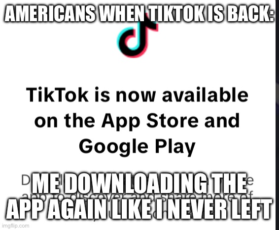 TikTok is back | AMERICANS WHEN TIKTOK IS BACK:; ME DOWNLOADING THE APP AGAIN LIKE I NEVER LEFT | image tagged in tiktok is back for the usa,tiktok,my life,chuck norris approves,music video,approves | made w/ Imgflip meme maker