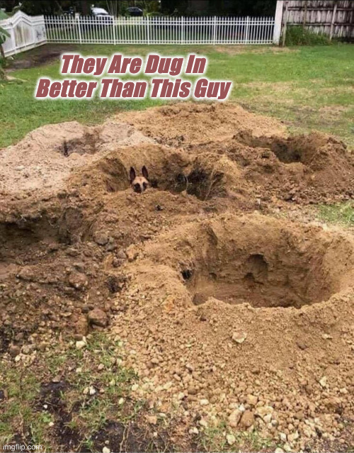 Assorted Swamp Rats | They Are Dug In Better Than This Guy | image tagged in foxhole dog,political meme,politics,funny memes,funny | made w/ Imgflip meme maker