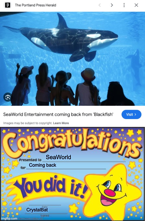 I'm so proud of you SeaWorld! | SeaWorld; Coming back; CrystalBat | image tagged in memes,happy star congratulations,seaworld,orca,killer whale | made w/ Imgflip meme maker