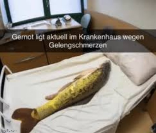 this probably funny as hell | made w/ Imgflip meme maker