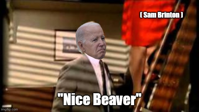 ( Sam Brinton ); "Nice Beaver" | made w/ Imgflip meme maker