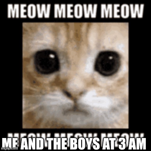 Me and the boys at 3 AM | ME AND THE BOYS AT 3 AM | image tagged in funny,memes,me and the boys | made w/ Imgflip meme maker