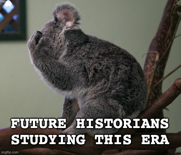 koala facepalm | FUTURE HISTORIANS
STUDYING THIS ERA | image tagged in koala facepalm | made w/ Imgflip meme maker