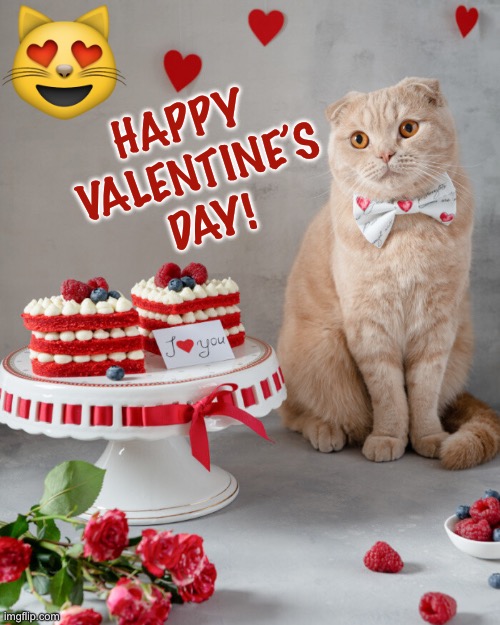 Cats love Valentine’s Day, too! | HAPPY 
VALENTINE’S
DAY! | image tagged in valentine's day | made w/ Imgflip meme maker