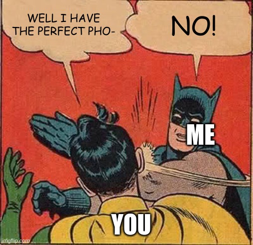 Batman Slapping Robin Meme | WELL I HAVE THE PERFECT PHO- NO! YOU ME | image tagged in memes,batman slapping robin | made w/ Imgflip meme maker