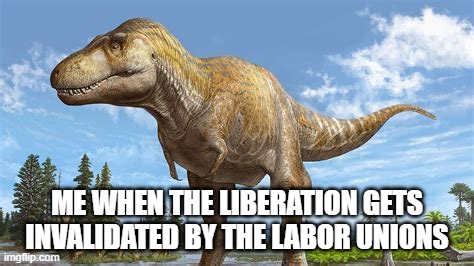 i saw this in my dream, what does it mean? | ME WHEN THE LIBERATION GETS INVALIDATED BY THE LABOR UNIONS | image tagged in dreams | made w/ Imgflip meme maker