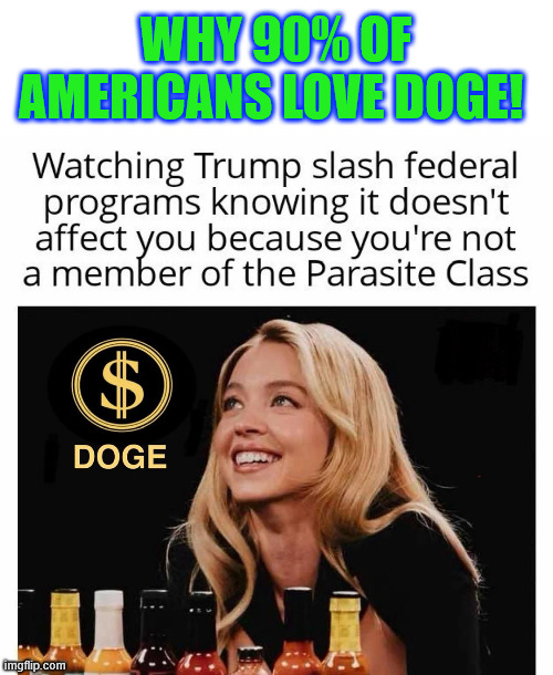 WHY 90% OF AMERICANS LOVE DOGE! | made w/ Imgflip meme maker