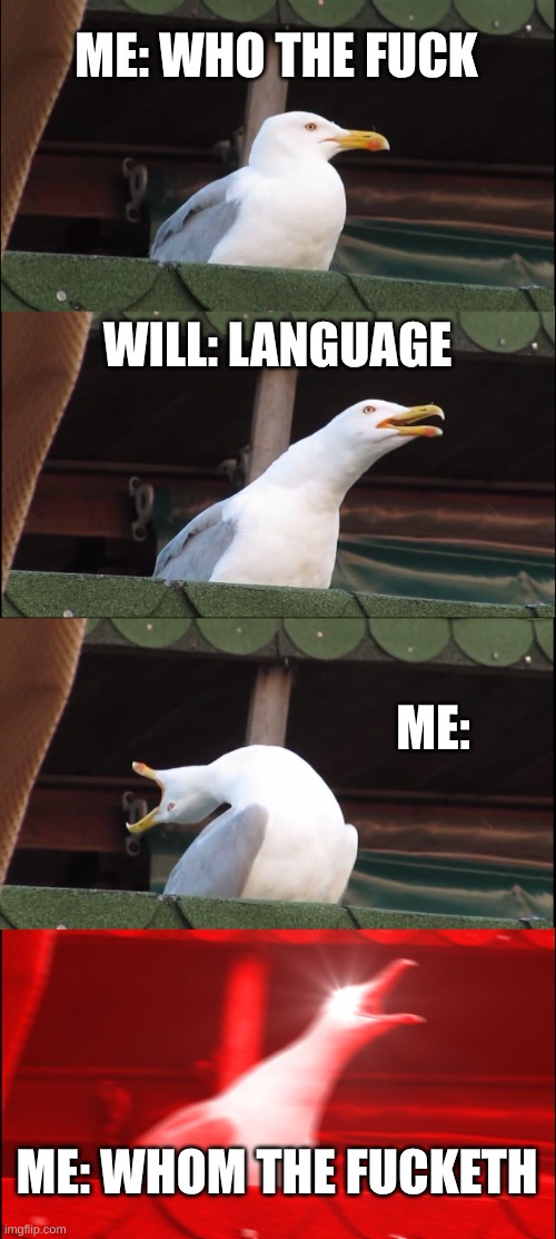 Shakespearian | ME: WHO THE FUCK; WILL: LANGUAGE; ME:; ME: WHOM THE FUCKETH | image tagged in memes,inhaling seagull | made w/ Imgflip meme maker