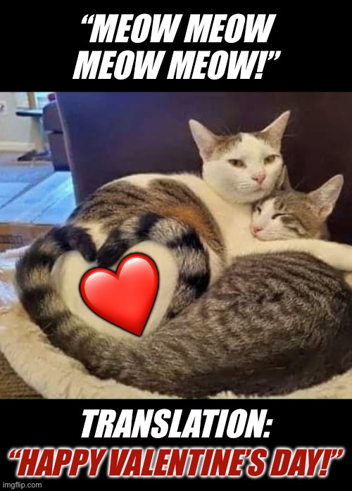 It means the same thing, no matter which language you speak… | ❤️; “HAPPY VALENTINE’S DAY!” | image tagged in valentine's day | made w/ Imgflip meme maker