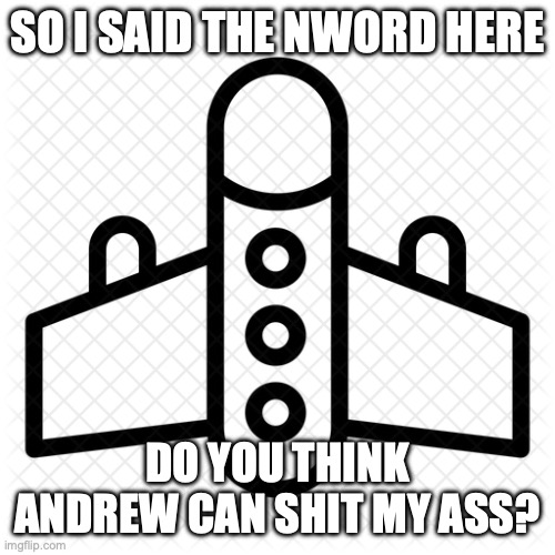 military plane | SO I SAID THE NWORD HERE; DO YOU THINK ANDREW CAN SHIT MY ASS? | image tagged in military plane | made w/ Imgflip meme maker