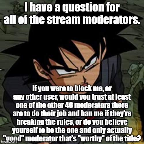 I have a question for all of the stream moderators. If you were to block me, or any other user, would you trust at least one of the other 46 moderators there are to do their job and ban me if they're breaking the rules, or do you believe yourself to be the one and only actually "good" moderator that's "worthy" of the title? | made w/ Imgflip meme maker