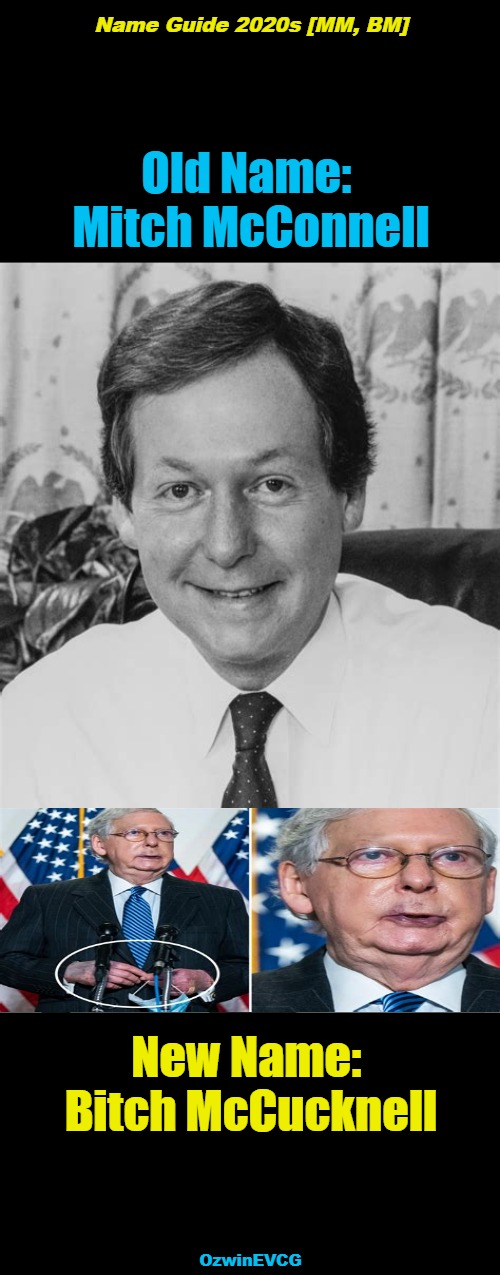 Name Guide 2020s [MM, BM] | Name Guide 2020s [MM, BM]; Old Name: 

Mitch McConnell; New Name: 

Bitch McCucknell; OzwinEVCG | image tagged in rino,politicians suck,government corruption,mitch mcconnell,bitch mccucknell,nickname | made w/ Imgflip meme maker