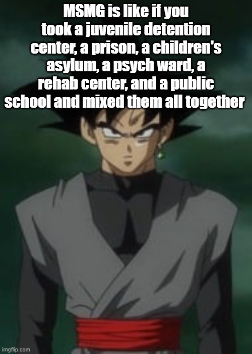 Goku black questions you | MSMG is like if you took a juvenile detention center, a prison, a children's asylum, a psych ward, a rehab center, and a public school and mixed them all together | image tagged in goku black questions you | made w/ Imgflip meme maker
