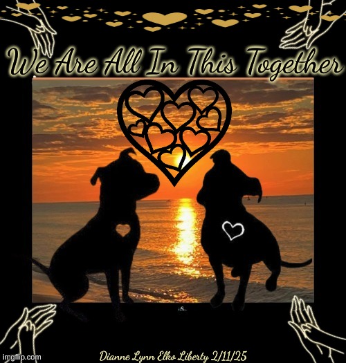 Pit bull | We Are All In This Together; Dianne Lynn Elko Liberty 2/11/25 | image tagged in dogs | made w/ Imgflip meme maker