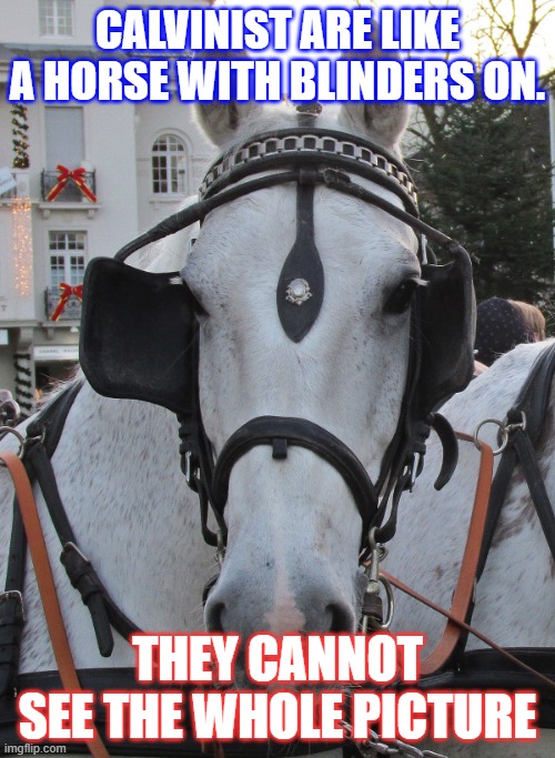 Calvinist are Like a Horse wit Blinders on | CALVINIST ARE LIKE A HORSE WITH BLINDERS ON. THEY CANNOT SEE THE WHOLE PICTURE | image tagged in horse blinders | made w/ Imgflip meme maker