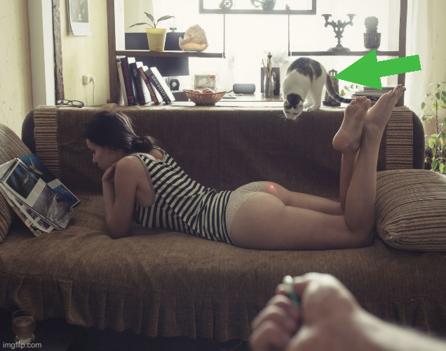 cat pouncing ass laser | image tagged in cat pouncing ass laser | made w/ Imgflip meme maker