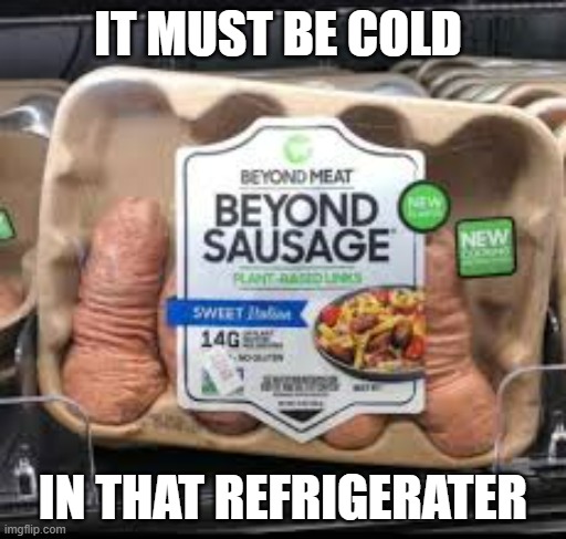 memes by Brad - The sausage shrunk. It's must have been cold in that refrigerator | IT MUST BE COLD; IN THAT REFRIGERATER | image tagged in funny,fun,food memes,cold,shrinkage,sausage | made w/ Imgflip meme maker