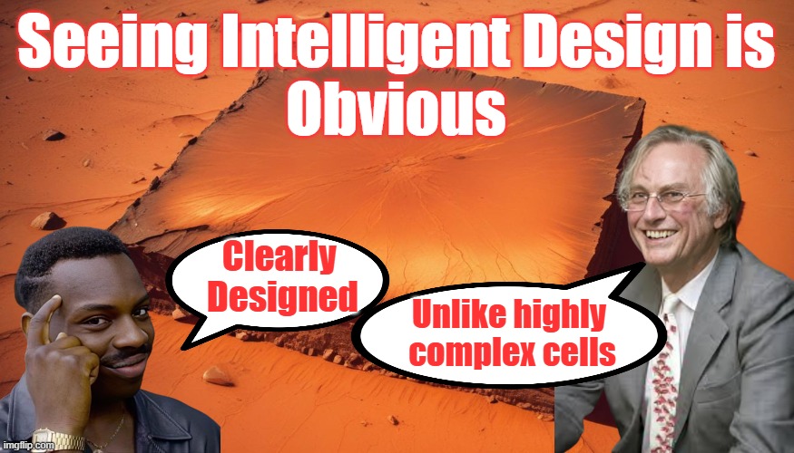 intelligent design is obvious to see | Seeing Intelligent Design is 
Obvious; Clearly 
Designed; Unlike highly 
complex cells | image tagged in mars,square,intelligent,design,creationism,common sense | made w/ Imgflip meme maker