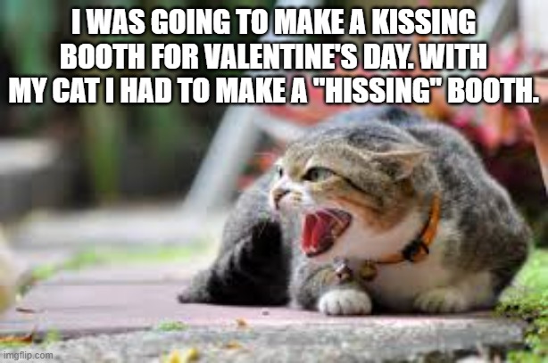 For Valentine's Day I was going to make a kissing booth. With my cat it was a hissing booth | I WAS GOING TO MAKE A KISSING BOOTH FOR VALENTINE'S DAY. WITH MY CAT I HAD TO MAKE A "HISSING" BOOTH. | image tagged in kittens,funny,cats,valentine's day,kissing,humor | made w/ Imgflip meme maker