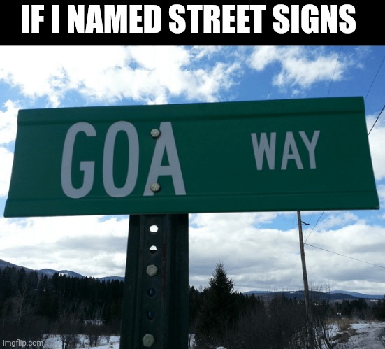 If I Named Street Signs | IF I NAMED STREET SIGNS | image tagged in chris joines | made w/ Imgflip meme maker