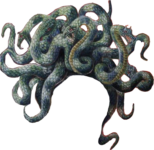 medusa hair Blank Meme Template