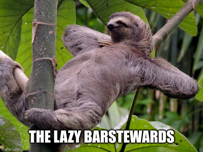 Lazy Sloth | THE LAZY BARSTEWARDS | image tagged in lazy sloth | made w/ Imgflip meme maker