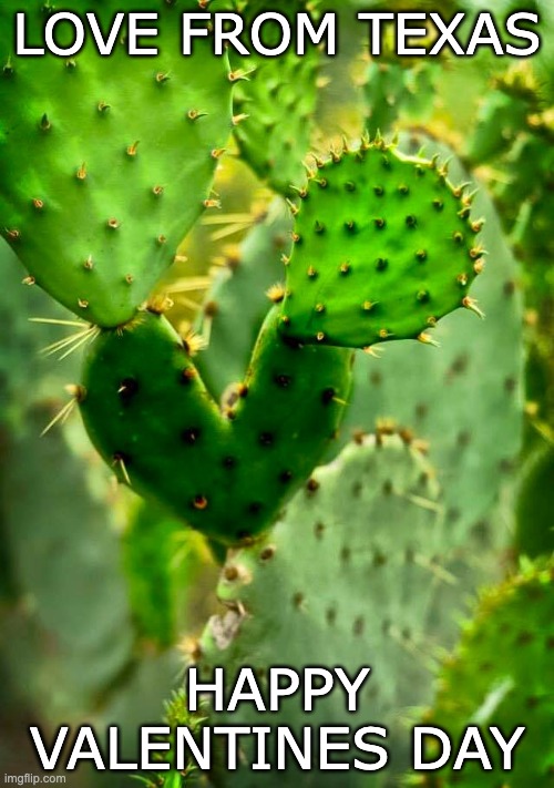 valentine in Texas | LOVE FROM TEXAS; HAPPY VALENTINES DAY | made w/ Imgflip meme maker