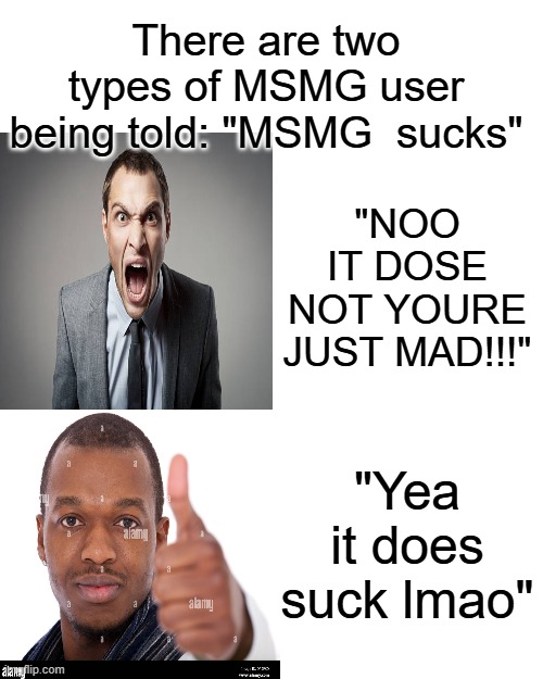 which one are you | There are two types of MSMG user being told: "MSMG  sucks"; "NOO IT DOSE NOT YOURE JUST MAD!!!"; "Yea it does suck lmao" | image tagged in memes,drake hotline bling | made w/ Imgflip meme maker