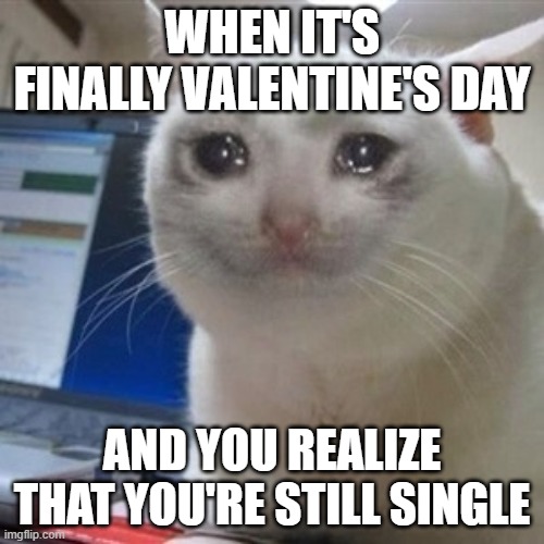 As of right now, I'm single. | WHEN IT'S FINALLY VALENTINE'S DAY; AND YOU REALIZE THAT YOU'RE STILL SINGLE | image tagged in crying cat,memes,funny,valentine's day | made w/ Imgflip meme maker