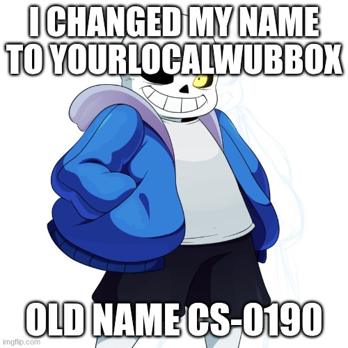 cS-0190 cHaNgEd UsErNaMeS?????? | I CHANGED MY NAME TO YOURLOCALWUBBOX; OLD NAME CS-0190 | image tagged in sans undertale | made w/ Imgflip meme maker