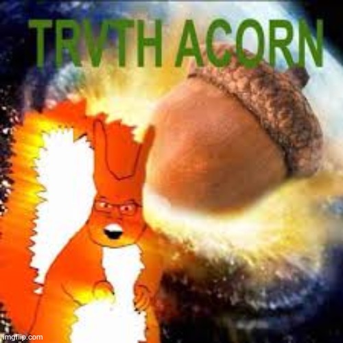 TRVTH ACORN | image tagged in trvth acorn | made w/ Imgflip meme maker