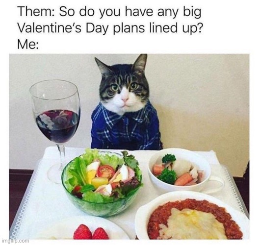 Big plans! | image tagged in valentine's day | made w/ Imgflip meme maker