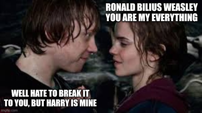 RONALD BILIUS WEASLEY YOU ARE MY EVERYTHING; WELL HATE TO BREAK IT TO YOU, BUT HARRY IS MINE | made w/ Imgflip meme maker