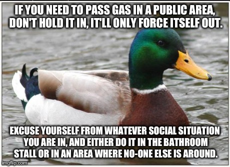 Couldn't Think of a Title | IF YOU NEED TO PASS GAS IN A PUBLIC AREA, DON'T HOLD IT IN, IT'LL ONLY FORCE ITSELF OUT. EXCUSE YOURSELF FROM WHATEVER SOCIAL SITUATION YOU  | image tagged in memes,actual advice mallard | made w/ Imgflip meme maker